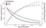 Contrasting activation energies of litter-associated respiration and P uptake drive lower cumulative P uptake at higher temperatures