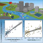 Non-point source fecal contamination from aging wastewater infrastructure is a primary driver of antibiotic resistance in surface waters